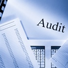 Annual Audit